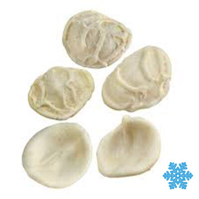 Orecchiette 3 Kg X 1ud Granbologna