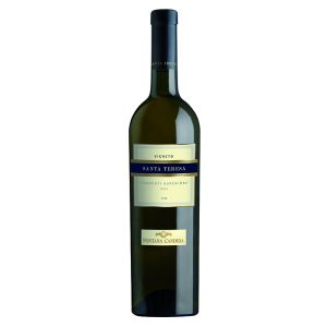 Frascati Superiore Docg Santa Teresa 0,75lx6u